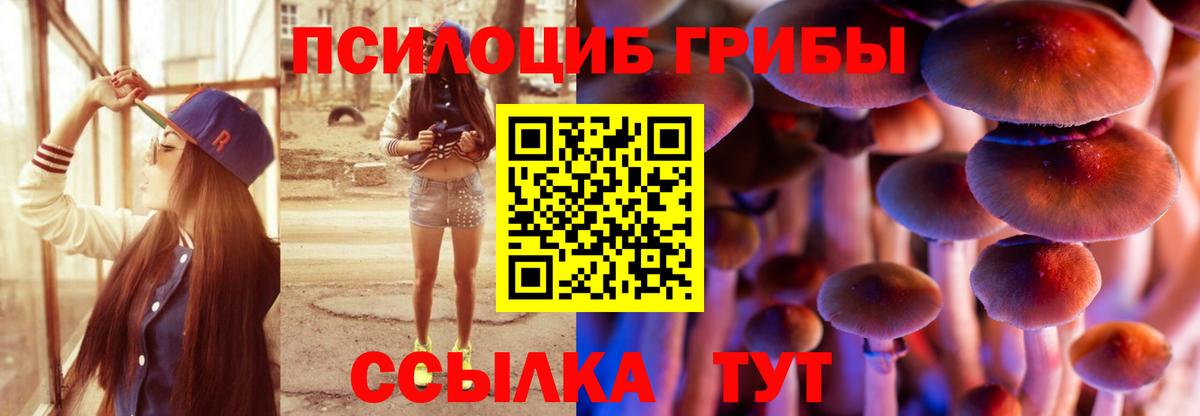 Псилоцибиновые грибы MAGIC MUSHROOMS Ленинск-Кузнецкий