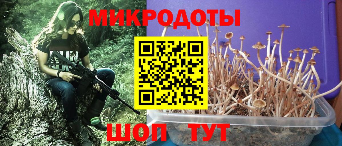 Ленинск-Кузнецкий  Псилоцибиновые грибы Psilocybe  Вход с VPN 